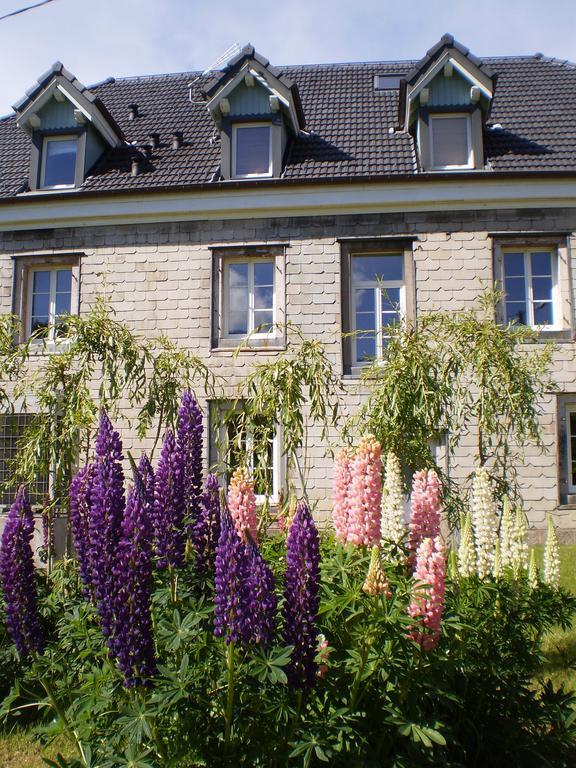Chambres D'Hotes Le Clos Des Lesses Fresse-sur-Moselle Dış mekan fotoğraf